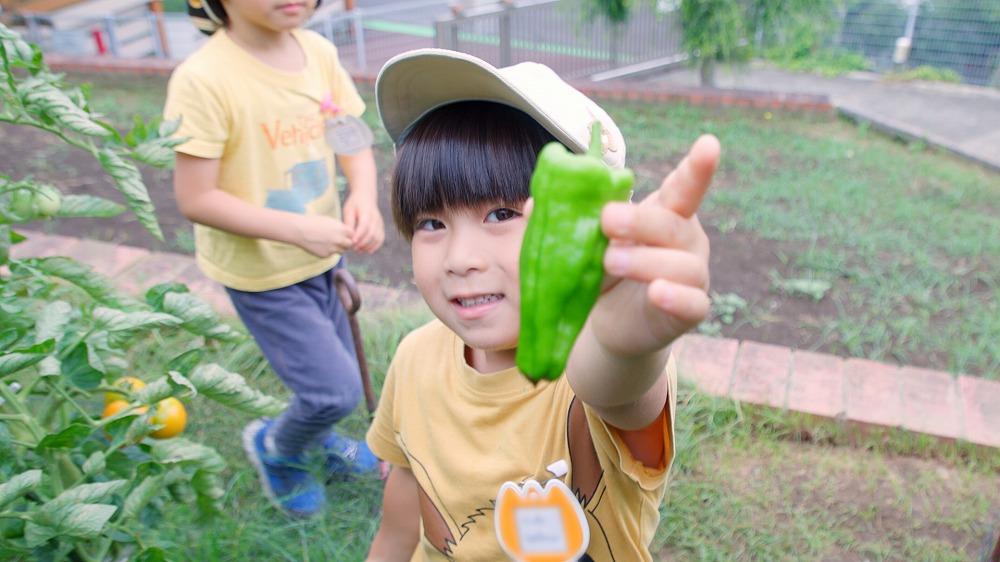 2. お米や野菜を育てよう