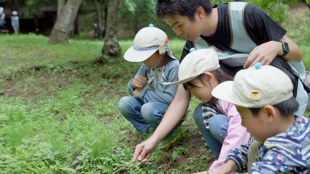 5. 森のことならまかせて!森の博士になろう!