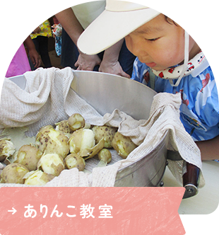 ありんこ教室