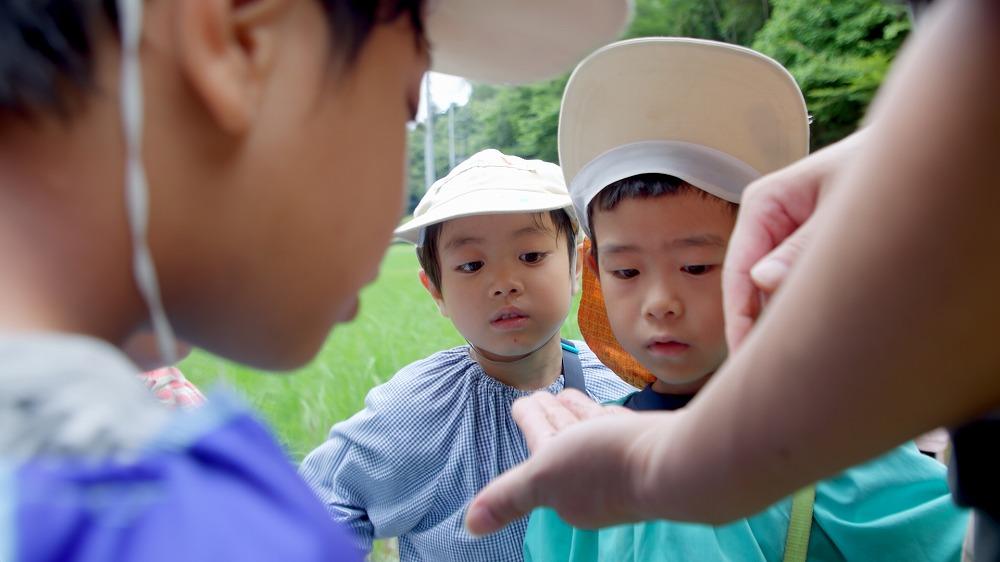ありんこ教室(夢の森親子未就園児教室:水曜日)
